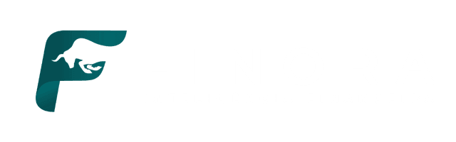 Finora — Inteligência Financeira